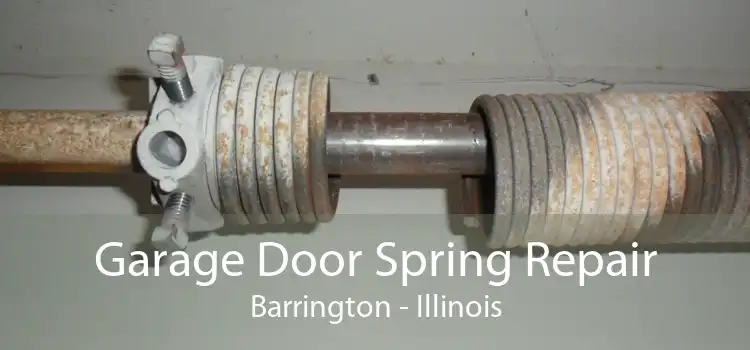 Garage Door Spring Repair Barrington - Illinois