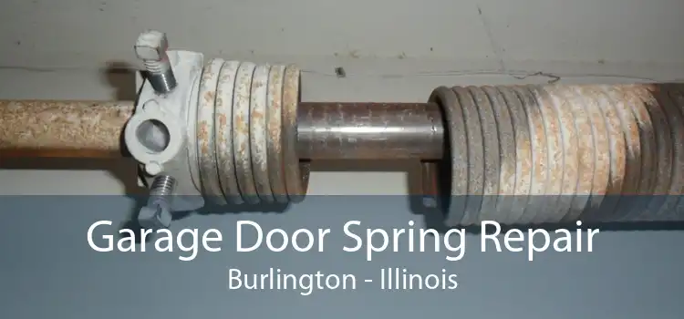 Garage Door Spring Repair Burlington - Illinois