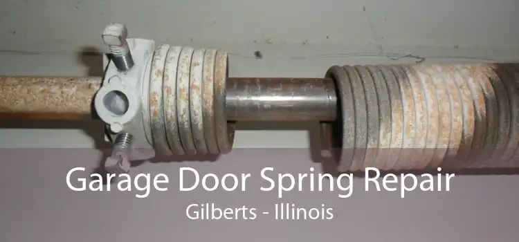 Garage Door Spring Repair Gilberts - Illinois