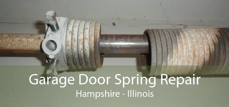 Garage Door Spring Repair Hampshire - Illinois