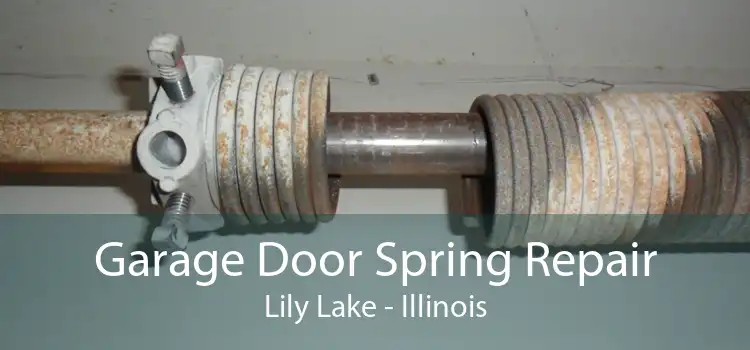 Garage Door Spring Repair Lily Lake - Illinois