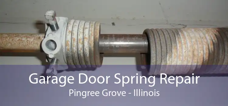 Garage Door Spring Repair Pingree Grove - Illinois