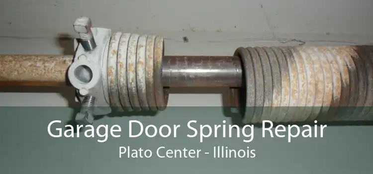 Garage Door Spring Repair Plato Center - Illinois