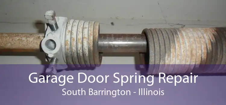 Garage Door Spring Repair South Barrington - Illinois