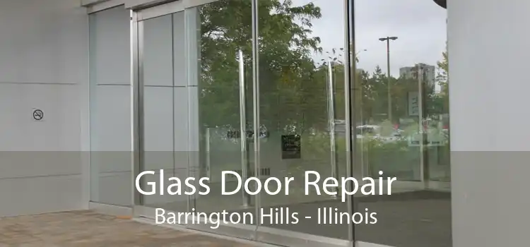 Glass Door Repair Barrington Hills - Illinois