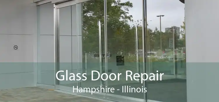 Glass Door Repair Hampshire - Illinois