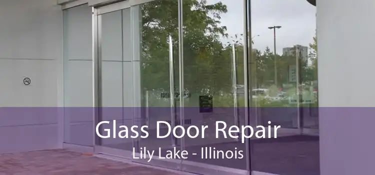 Glass Door Repair Lily Lake - Illinois