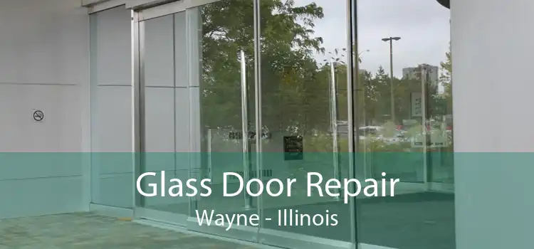 Glass Door Repair Wayne - Illinois