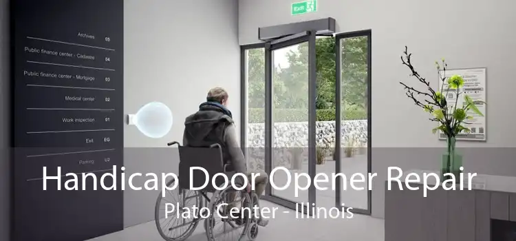 Handicap Door Opener Repair Plato Center - Illinois