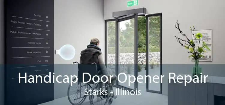 Handicap Door Opener Repair Starks - Illinois