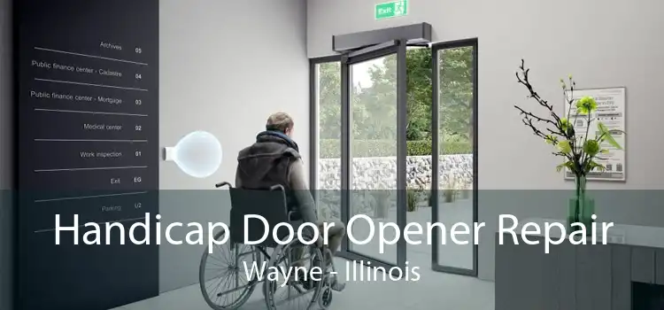 Handicap Door Opener Repair Wayne - Illinois