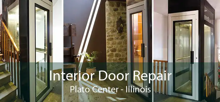 Interior Door Repair Plato Center - Illinois