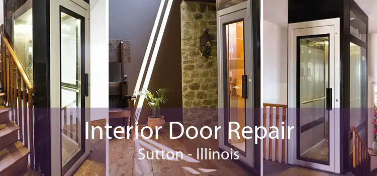 Interior Door Repair Sutton - Illinois