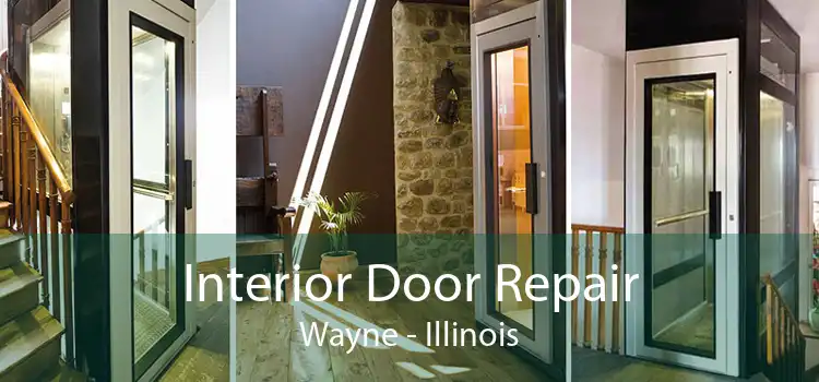 Interior Door Repair Wayne - Illinois