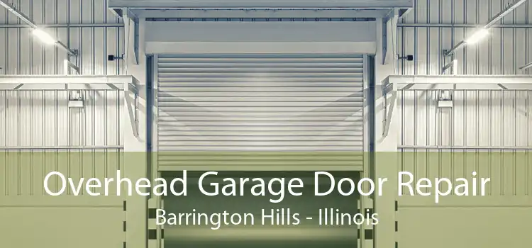 Overhead Garage Door Repair Barrington Hills - Illinois