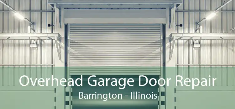 Overhead Garage Door Repair Barrington - Illinois