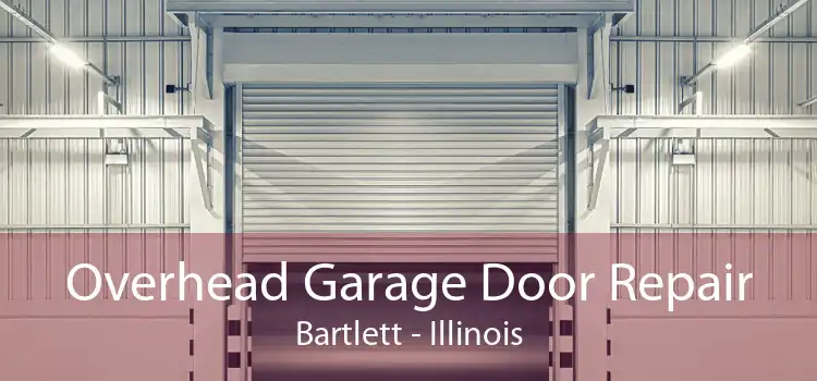 Overhead Garage Door Repair Bartlett - Illinois