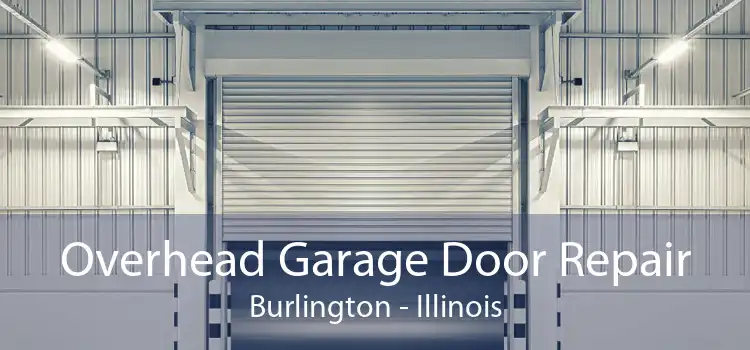 Overhead Garage Door Repair Burlington - Illinois