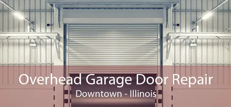 Overhead Garage Door Repair Downtown - Illinois