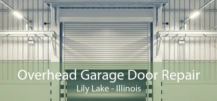 Overhead Garage Door Repair Lily Lake - Illinois