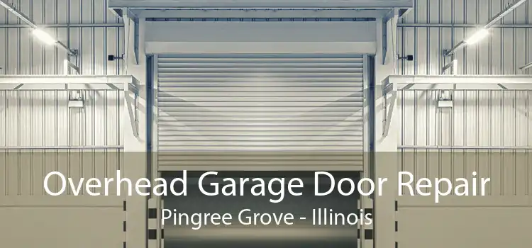 Overhead Garage Door Repair Pingree Grove - Illinois