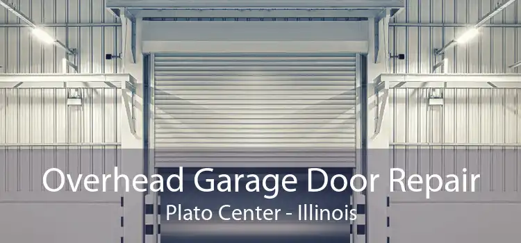 Overhead Garage Door Repair Plato Center - Illinois