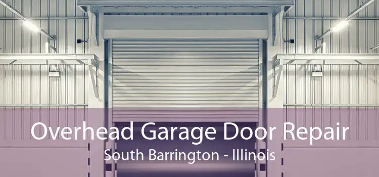 Overhead Garage Door Repair South Barrington - Illinois