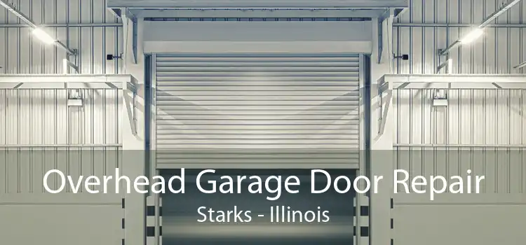 Overhead Garage Door Repair Starks - Illinois