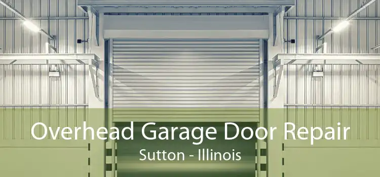 Overhead Garage Door Repair Sutton - Illinois