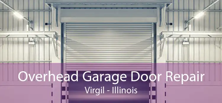 Overhead Garage Door Repair Virgil - Illinois