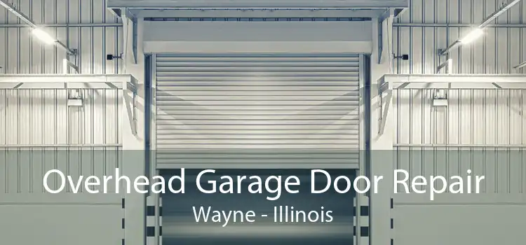 Overhead Garage Door Repair Wayne - Illinois