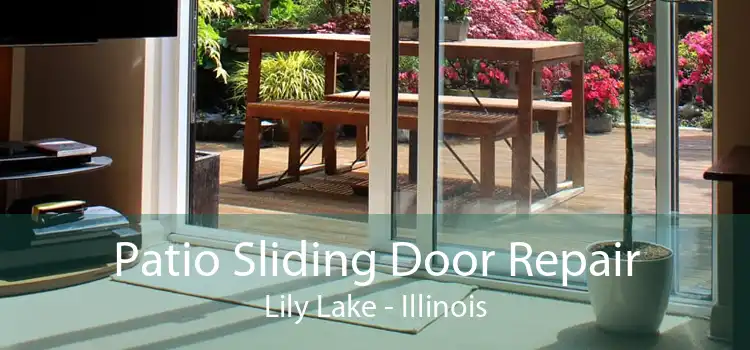 Patio Sliding Door Repair Lily Lake - Illinois