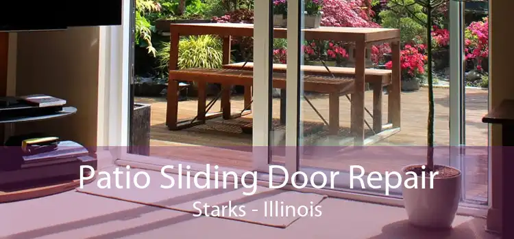 Patio Sliding Door Repair Starks - Illinois