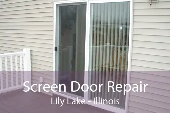 Screen Door Repair Lily Lake - Illinois