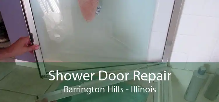 Shower Door Repair Barrington Hills - Illinois