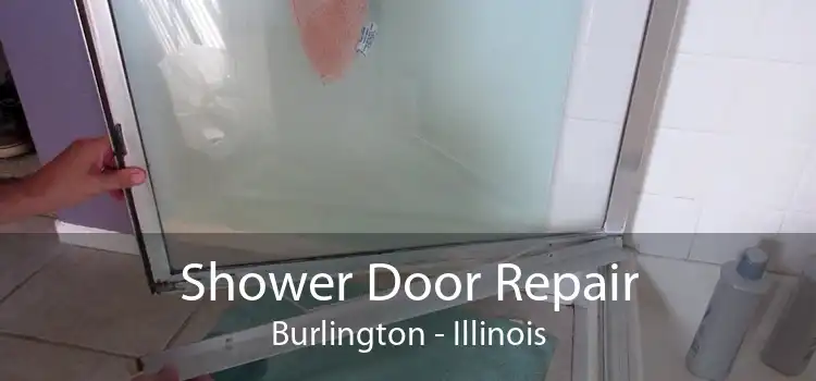 Shower Door Repair Burlington - Illinois