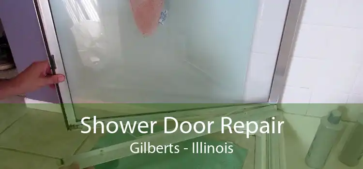 Shower Door Repair Gilberts - Illinois