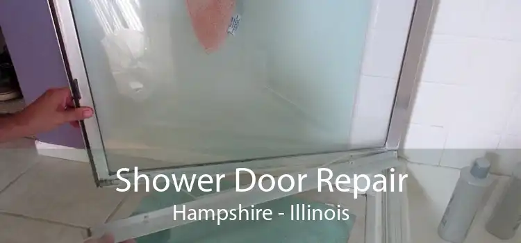 Shower Door Repair Hampshire - Illinois