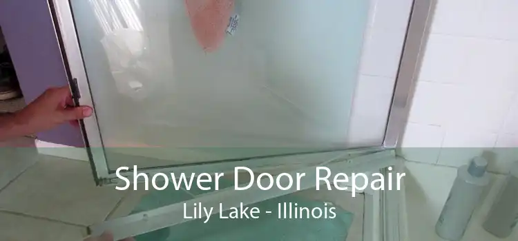 Shower Door Repair Lily Lake - Illinois