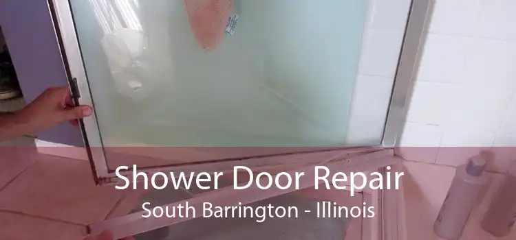 Shower Door Repair South Barrington - Illinois