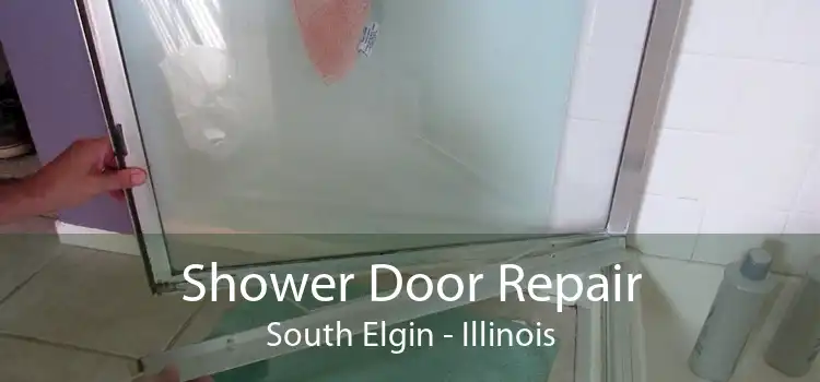 Shower Door Repair South Elgin - Illinois