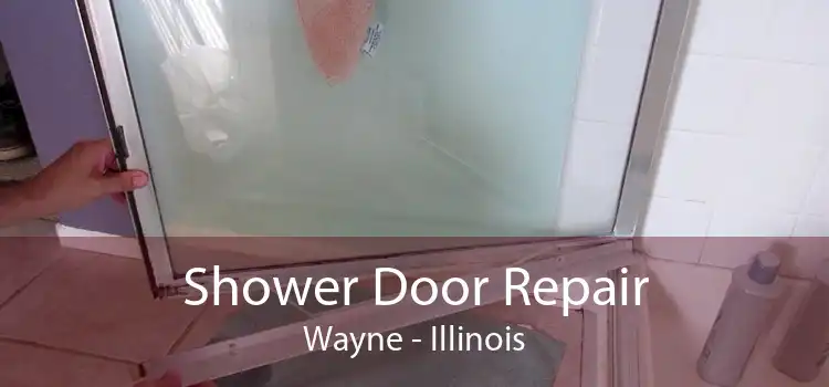 Shower Door Repair Wayne - Illinois