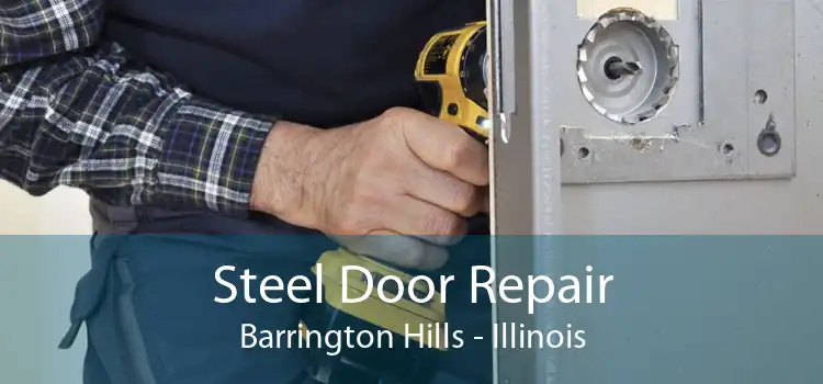 Steel Door Repair Barrington Hills - Illinois