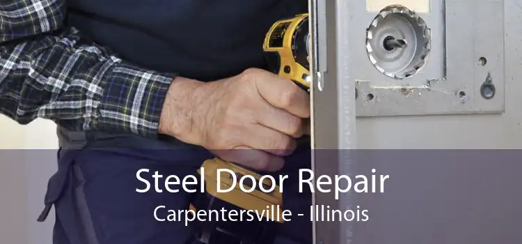 Steel Door Repair Carpentersville - Illinois