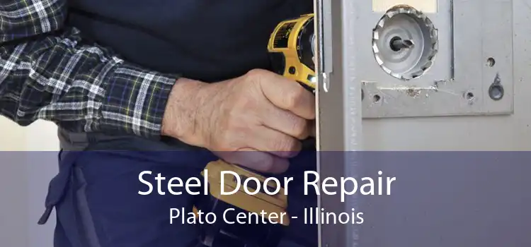 Steel Door Repair Plato Center - Illinois