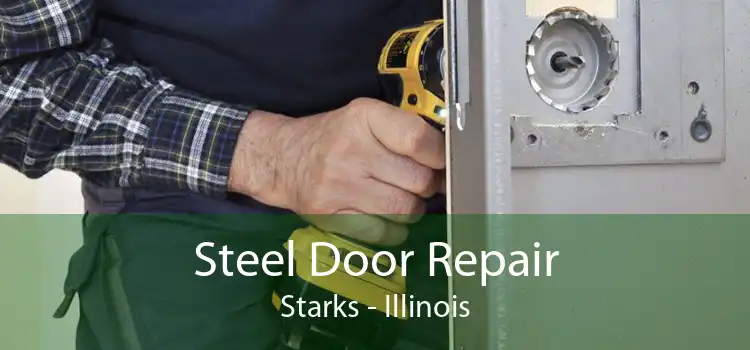 Steel Door Repair Starks - Illinois