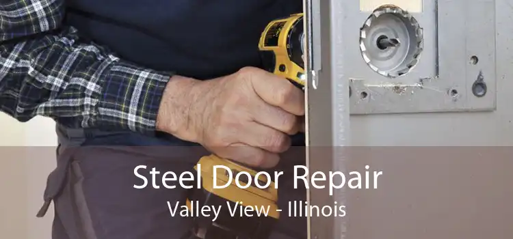 Steel Door Repair Valley View - Illinois