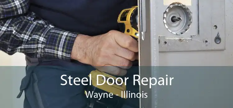 Steel Door Repair Wayne - Illinois