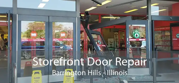 Storefront Door Repair Barrington Hills - Illinois