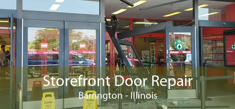 Storefront Door Repair Barrington - Illinois